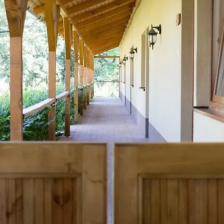 Hostel Vandorlo Szallo